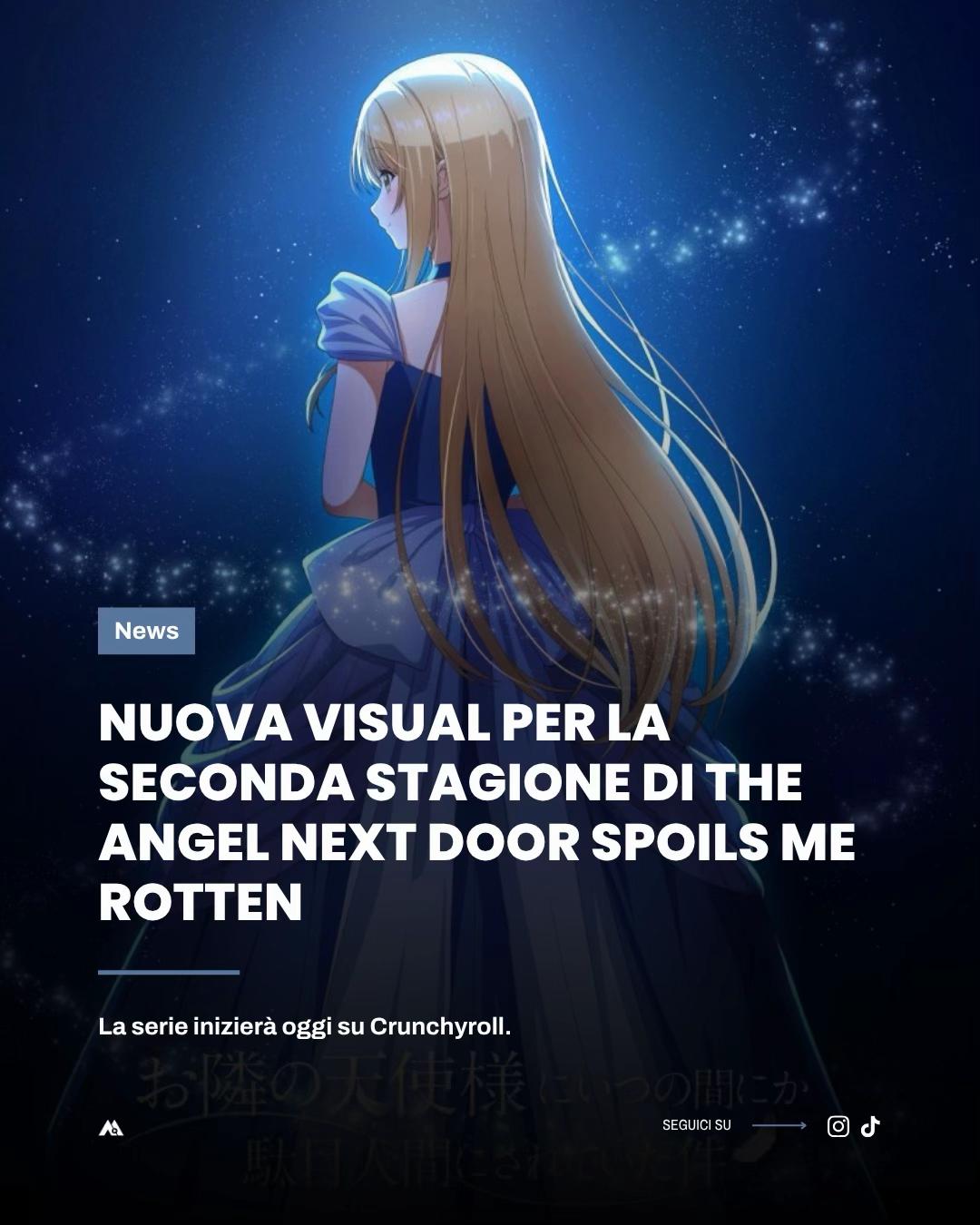 @Anima dell’Animazione
