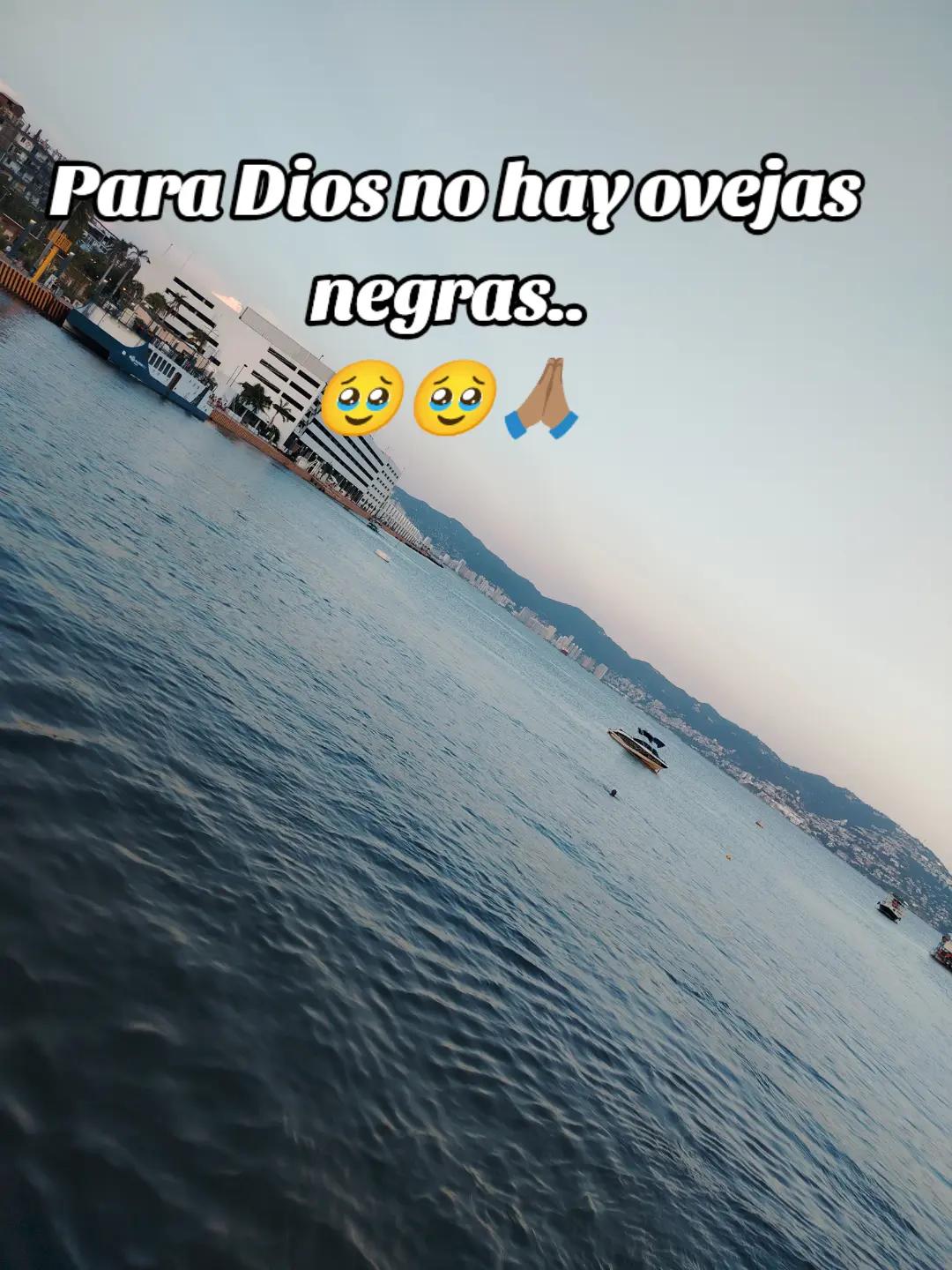 @taco de pastor😎😎