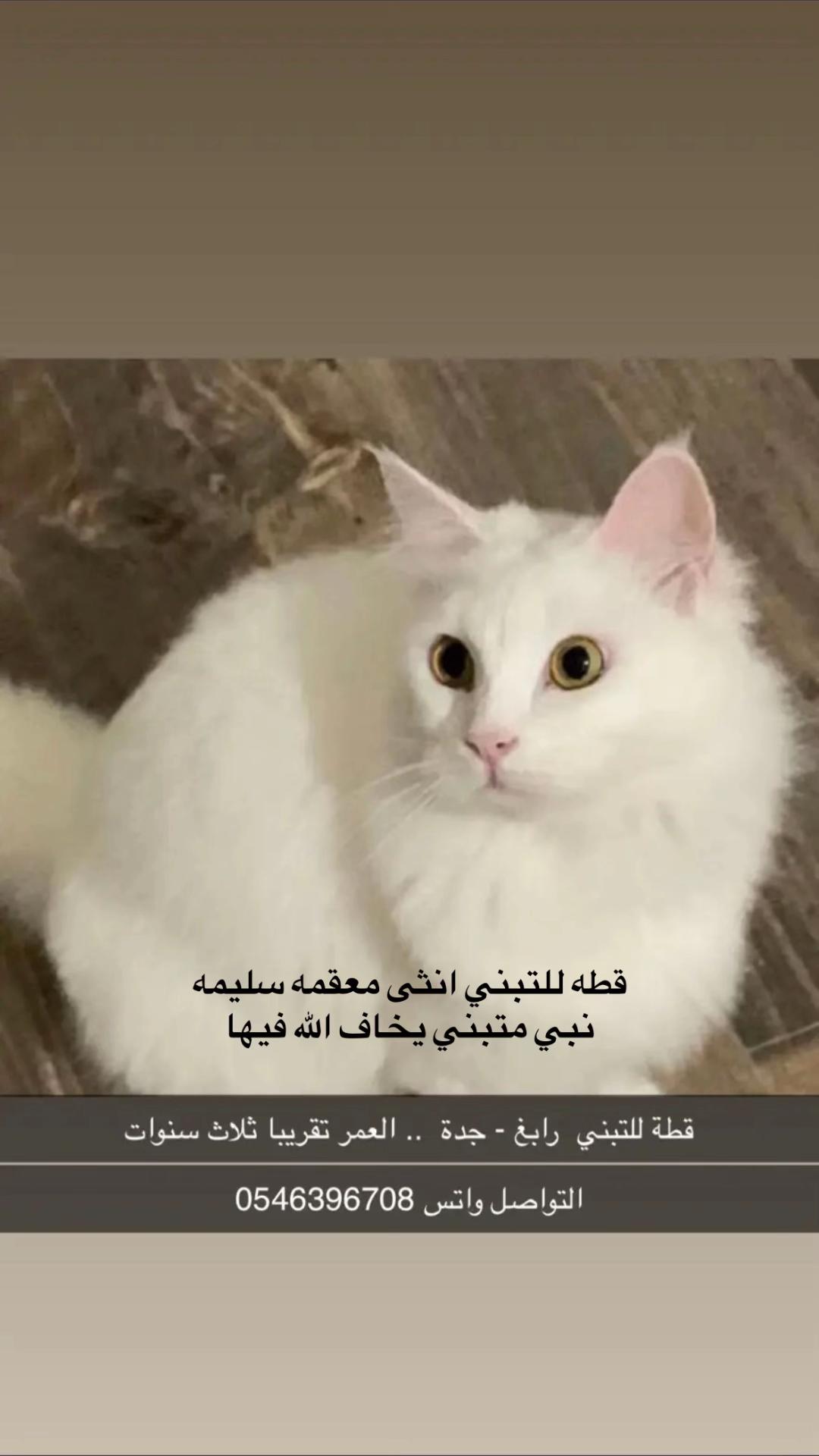 @JK