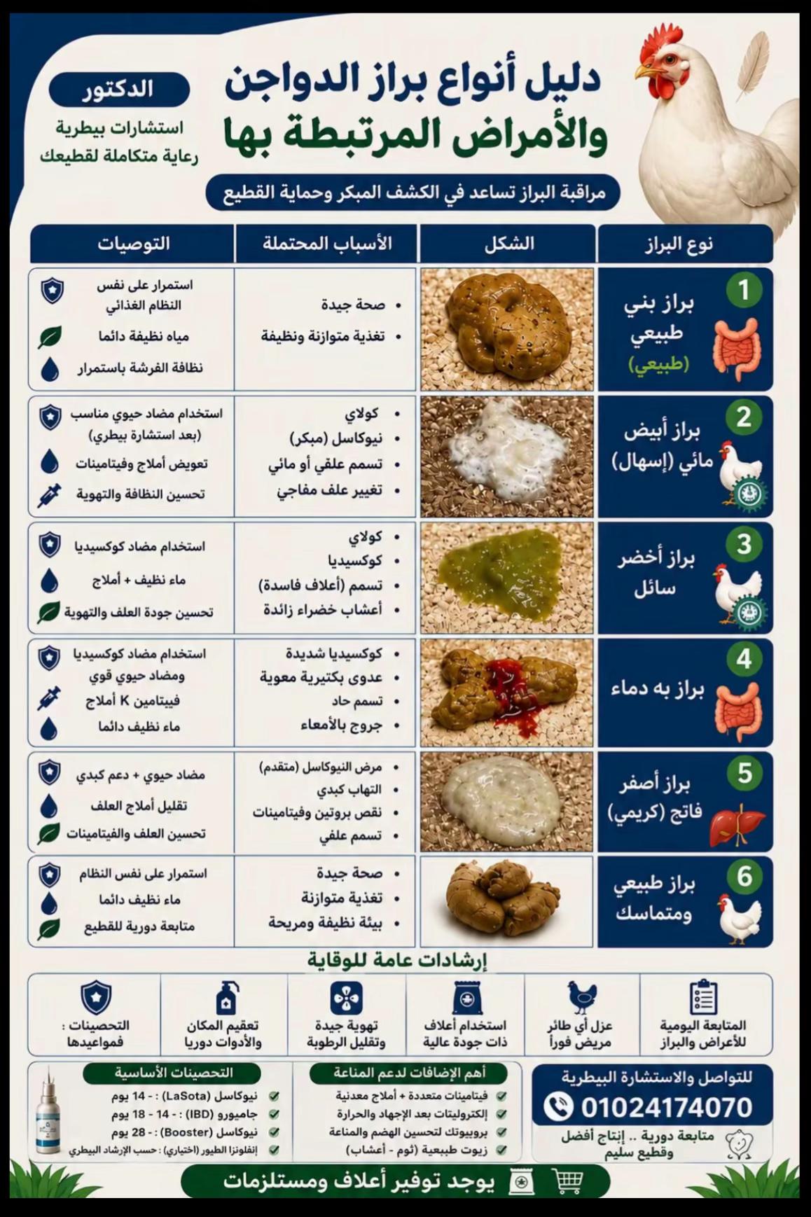 @نوادر الدجاج الزينه
