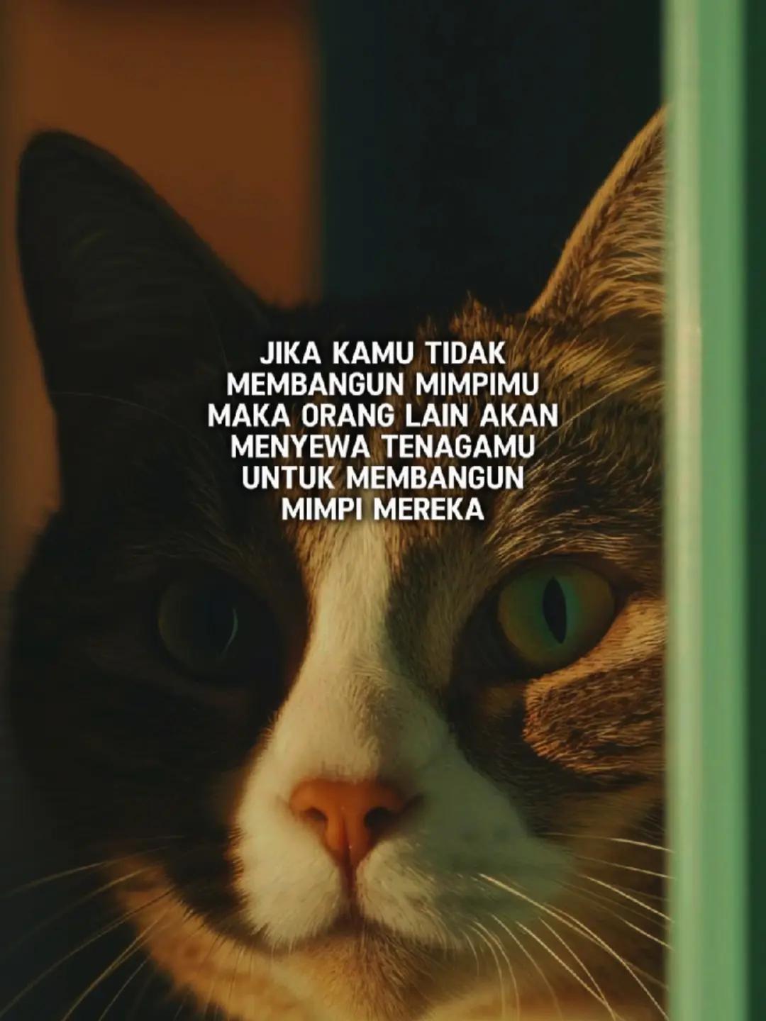 @ɪQʙᴀʟᴘʀᴀᴛᴀᴍᴀ✪