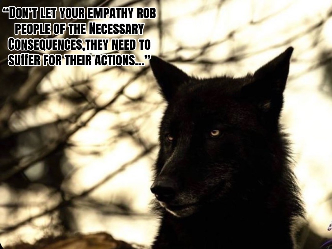 @🪬Conscious_LoneWolf🐺