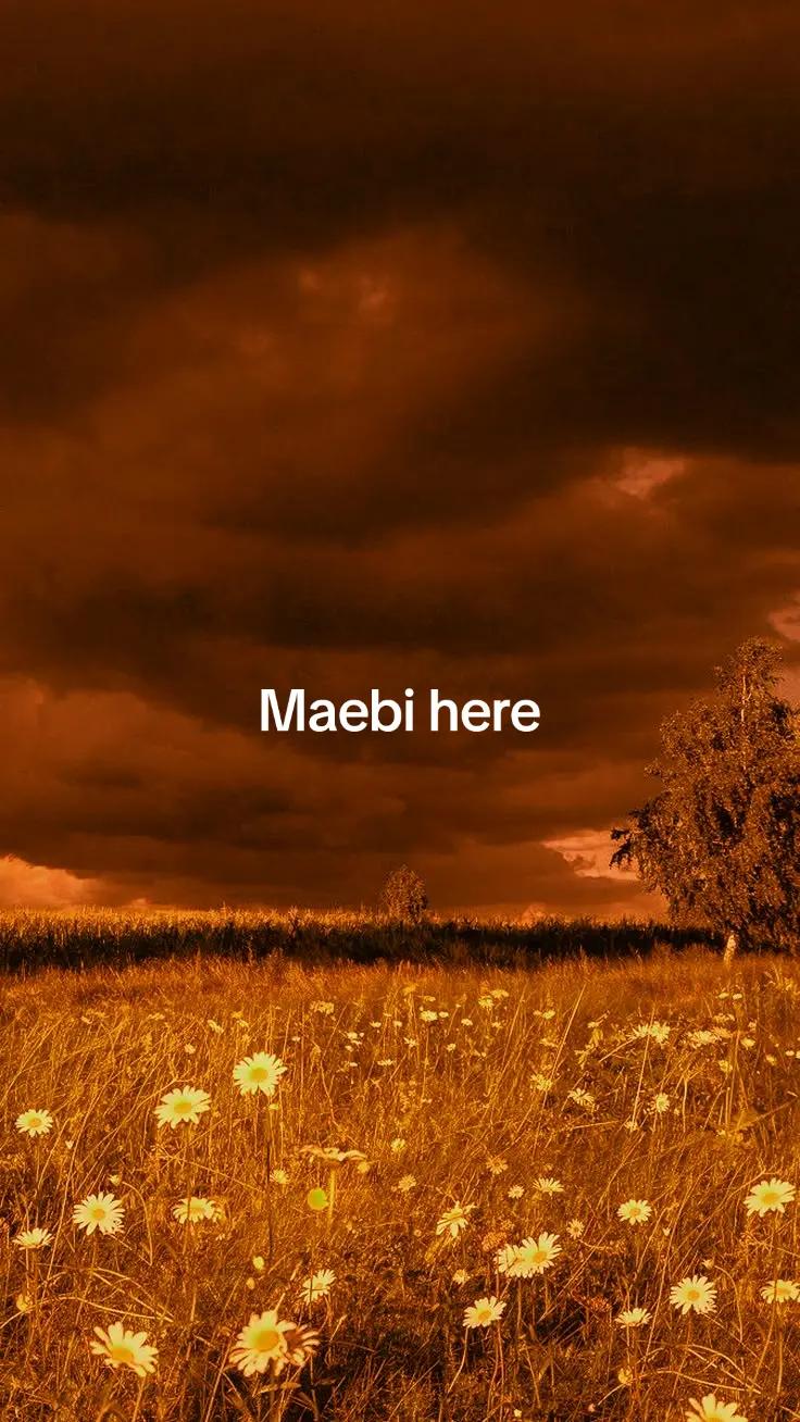 @Maebi