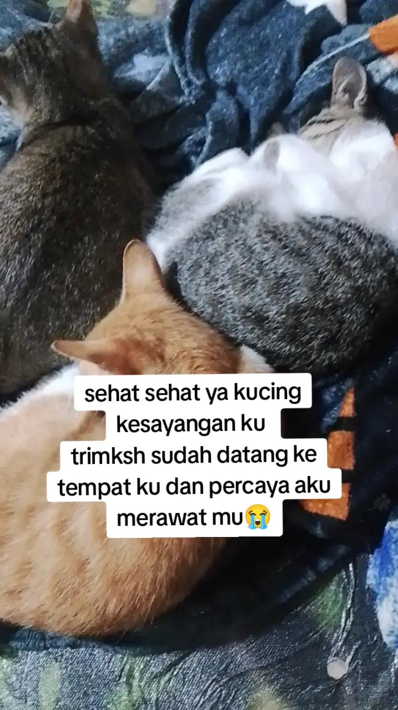 @Nur(pedagang keliling)