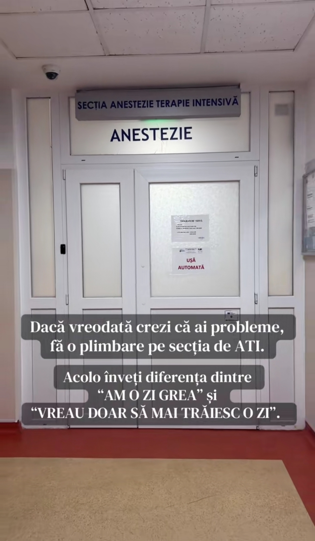 @Anca Botezatu