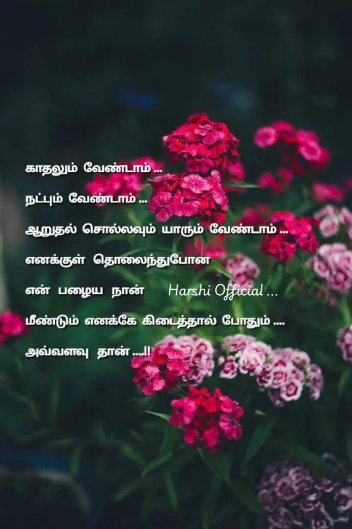 @ʰᵃʳˢʰⁱ 𝐨𝐟𝐟𝐢𝐜𝐢𝐚𝐥 🎀