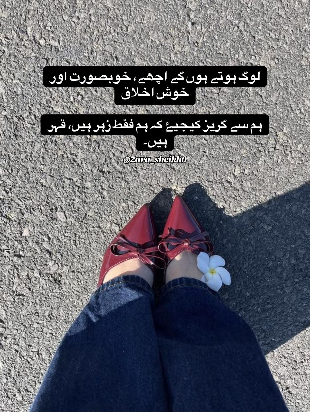 @Zara Sheikh
