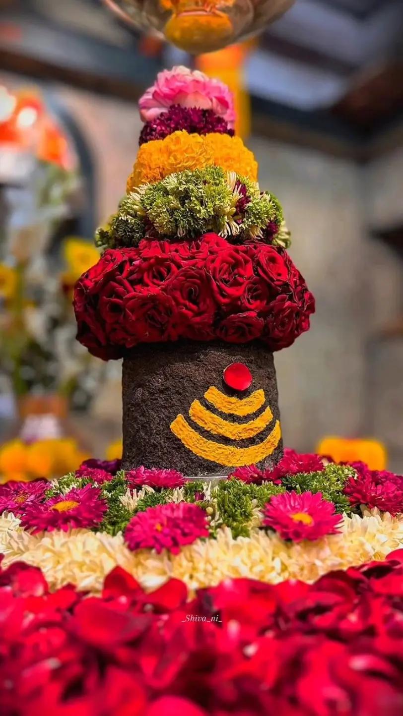 @Jay Bole Nath ๐๏ธ๐ฑ๐