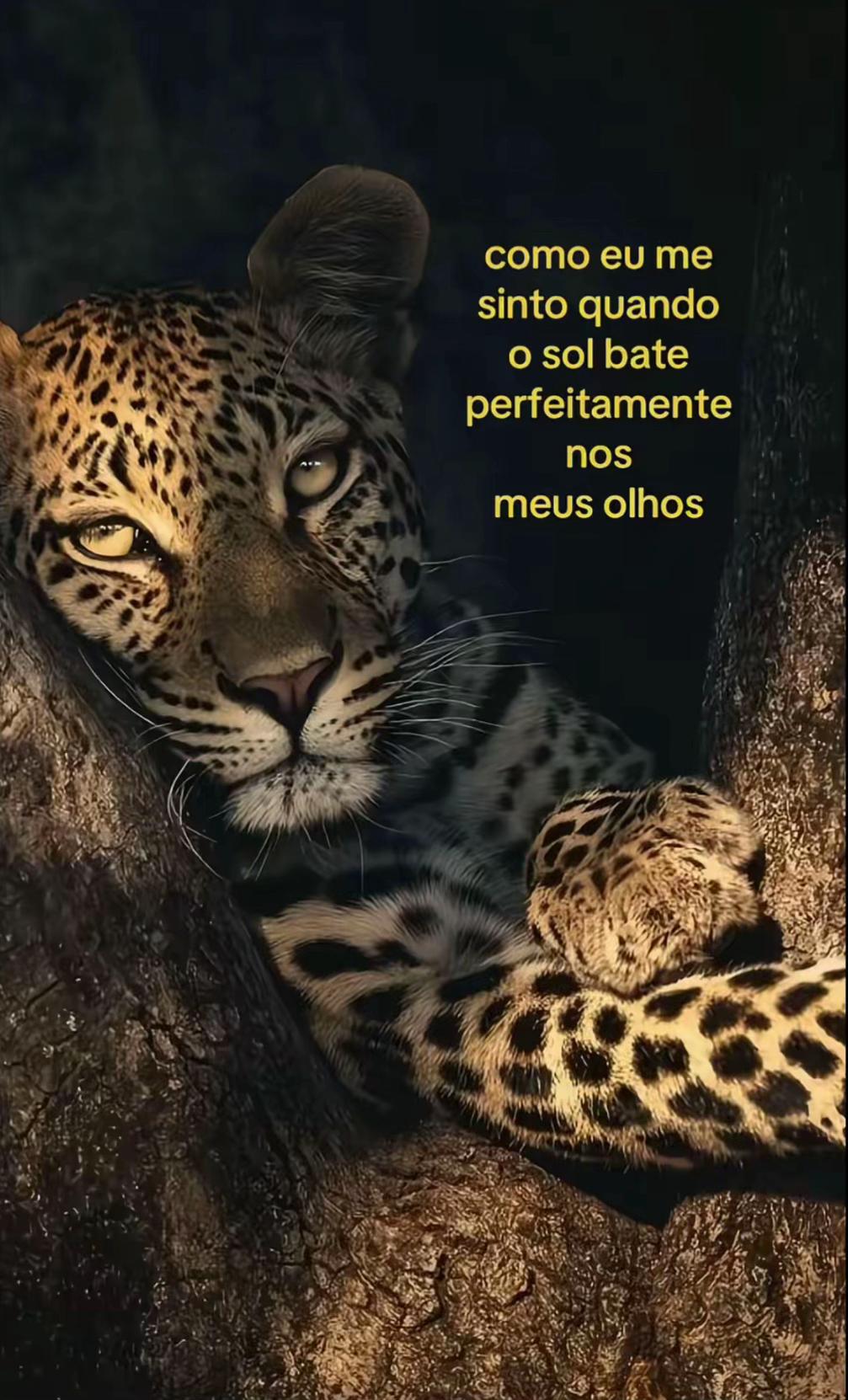 @Morbidelli