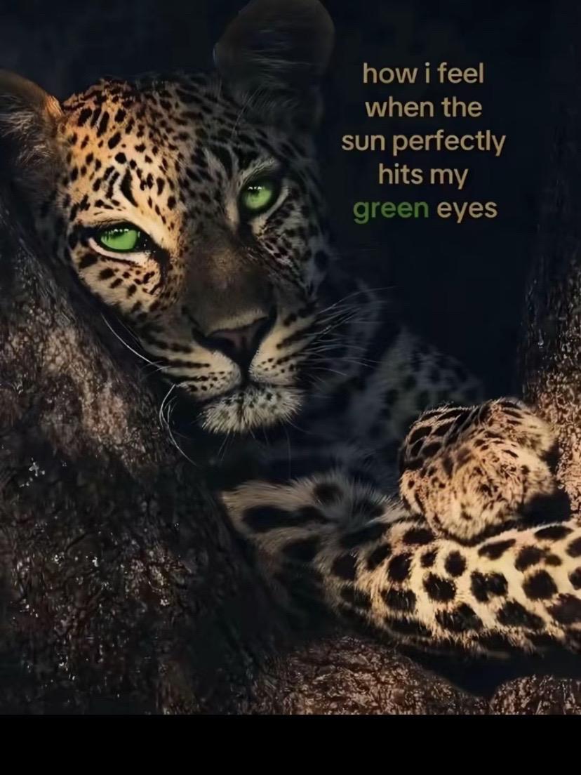 @peyton