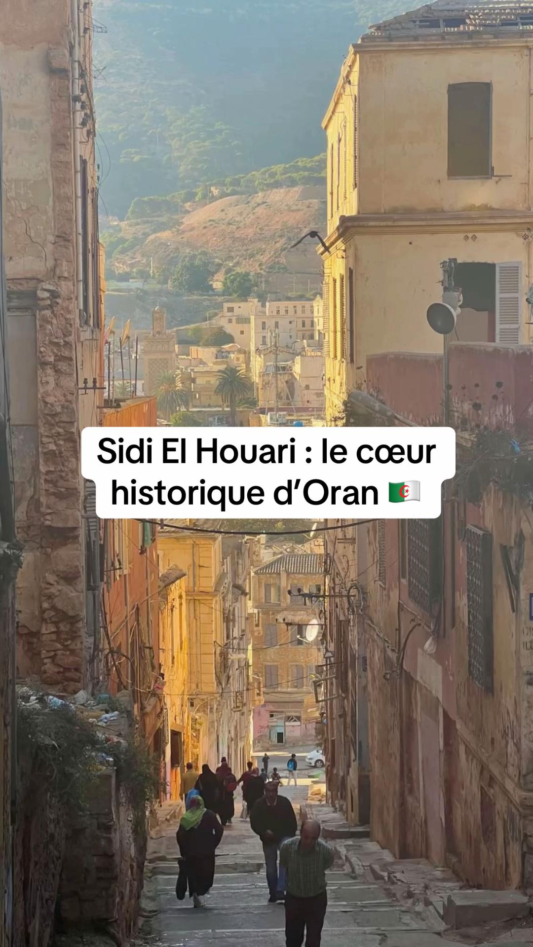 @🇩🇿