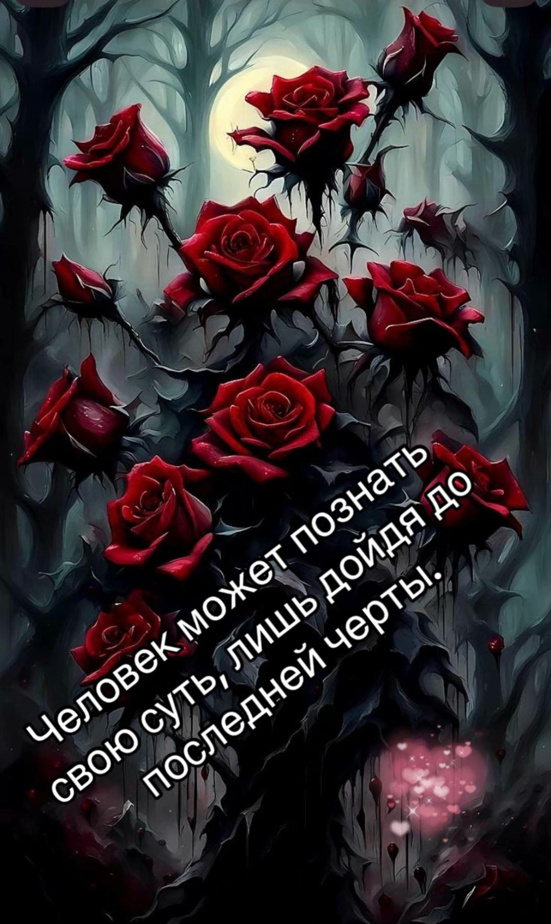 @Катюша