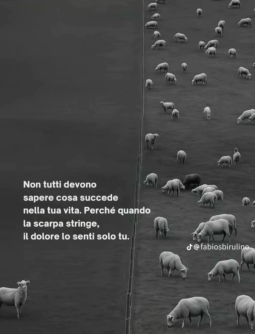 @Ivano Di Stefano