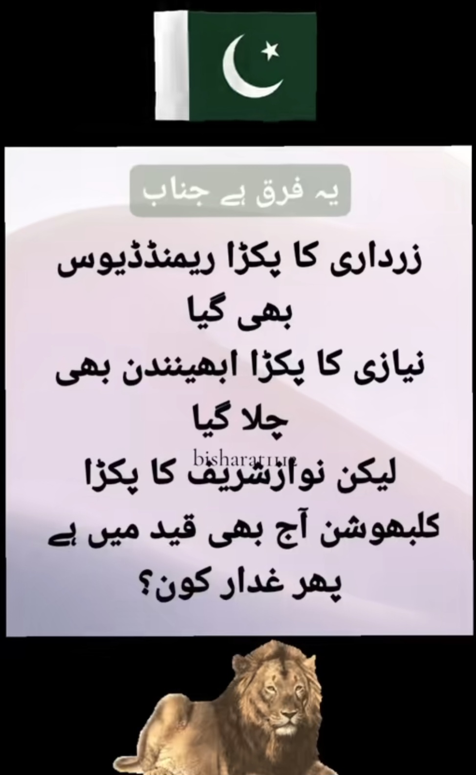 @Raja Javid