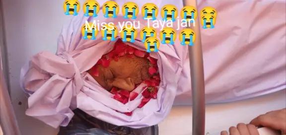 @Adnan Dani 💝🙌🥰🚺