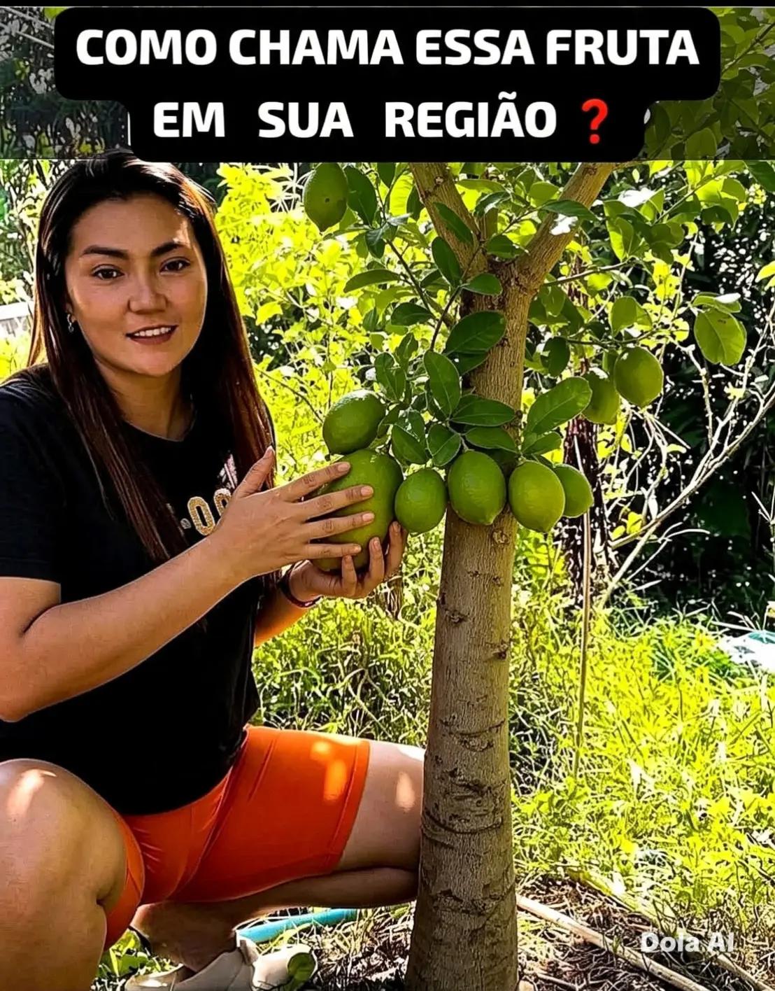 @Silva Rodrigo
