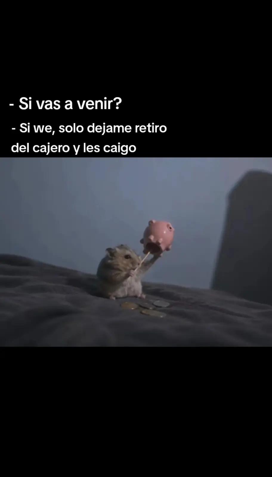 @ɴᴇʟsᴏɴXᴅ⛎