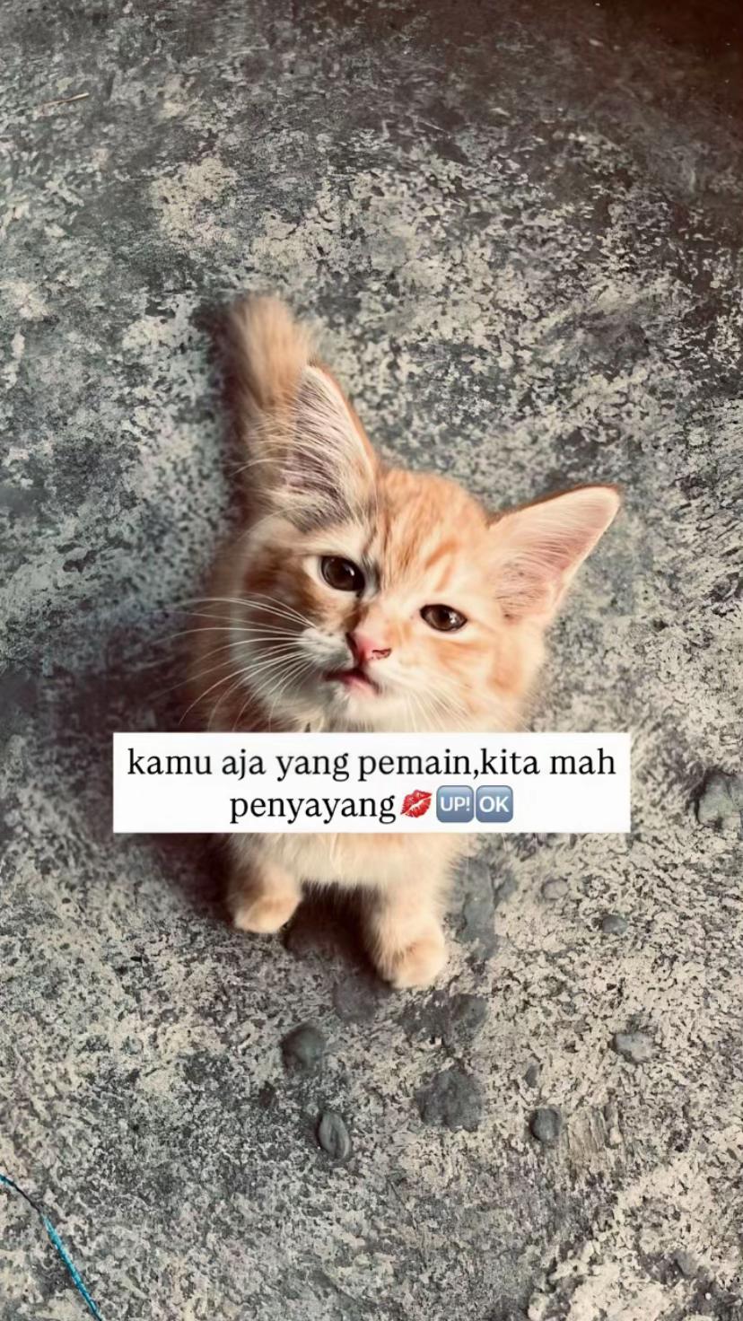 @incestan