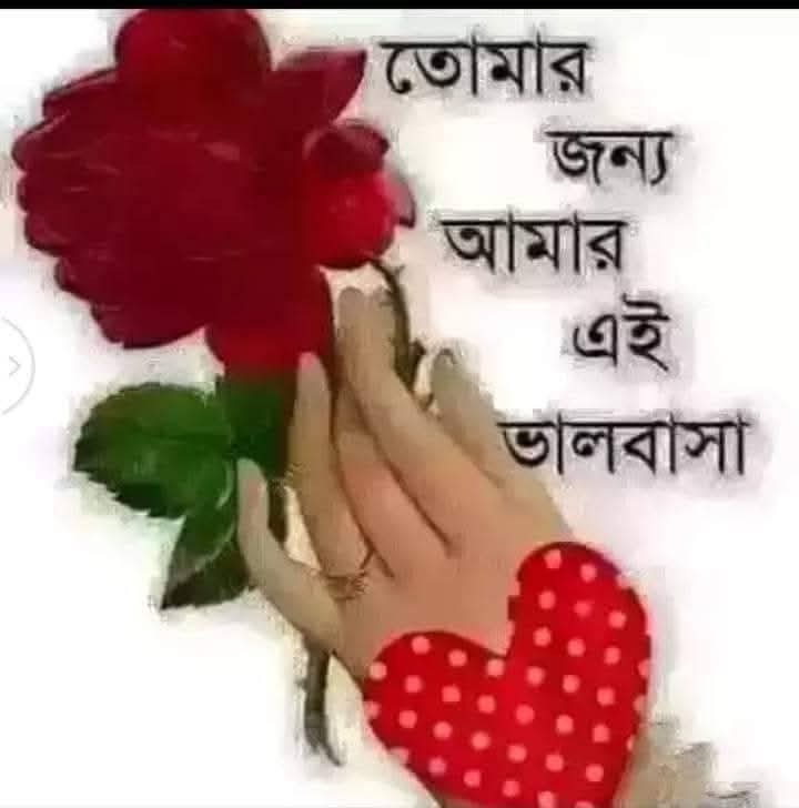 @MR MARUF