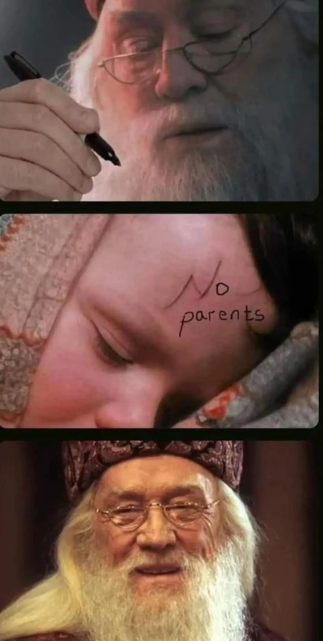 @harrypotterfan8507