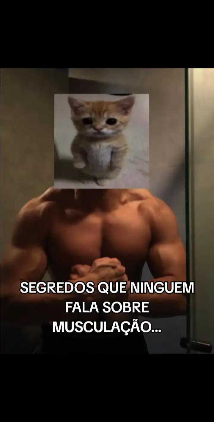 @VEKO
