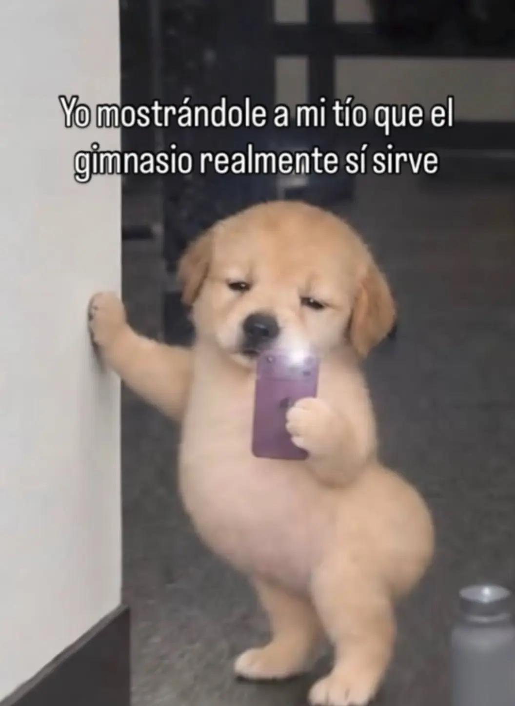 @Sioo🦦