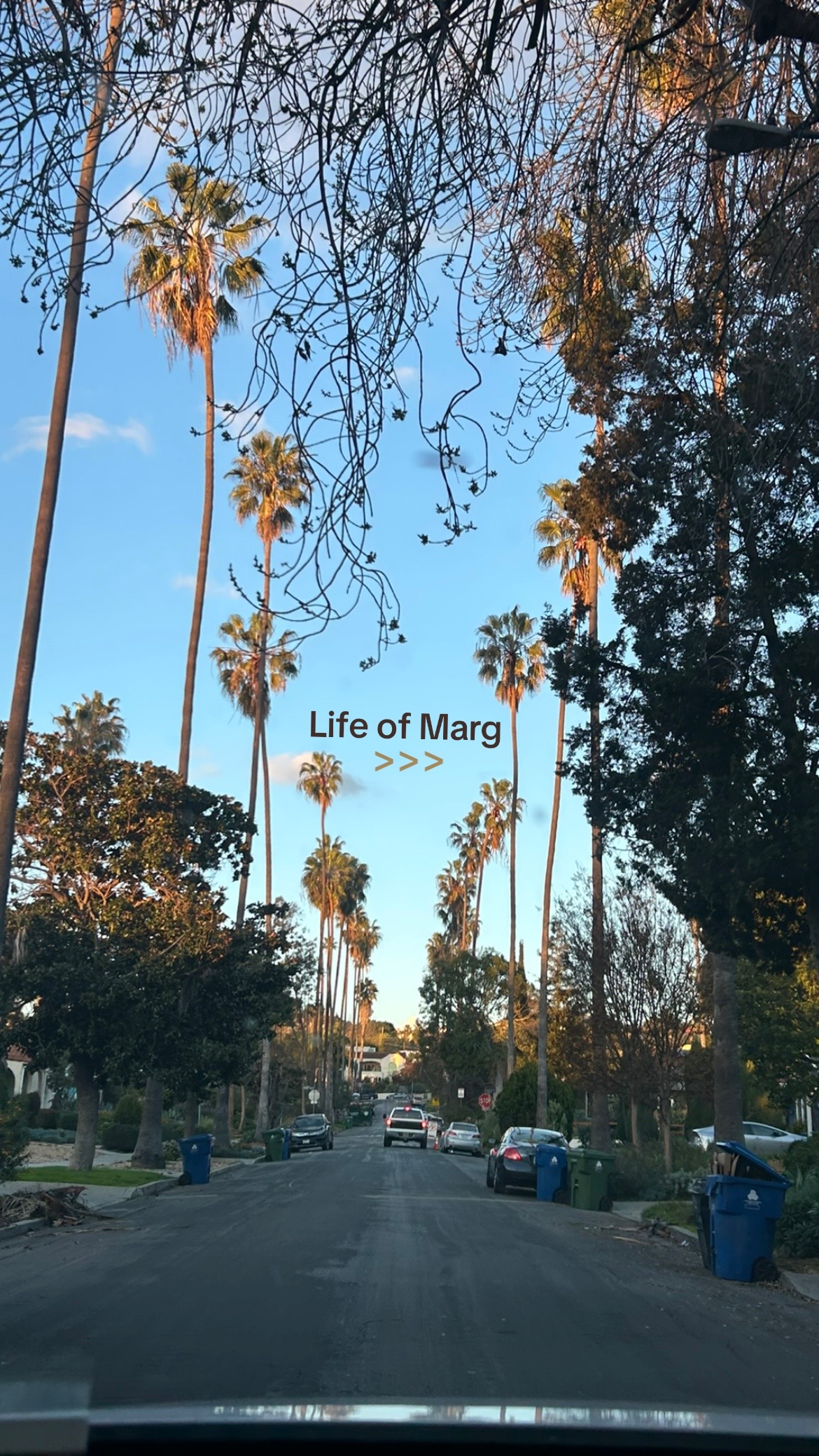 @Marg