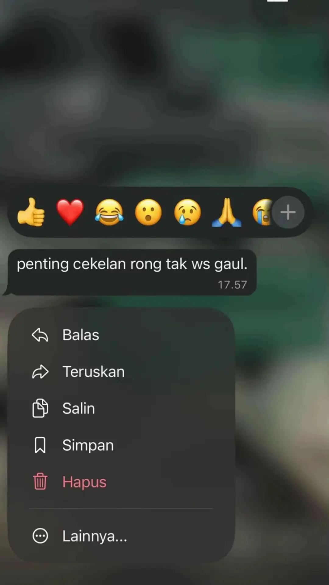 @NOGOSARI 🦆