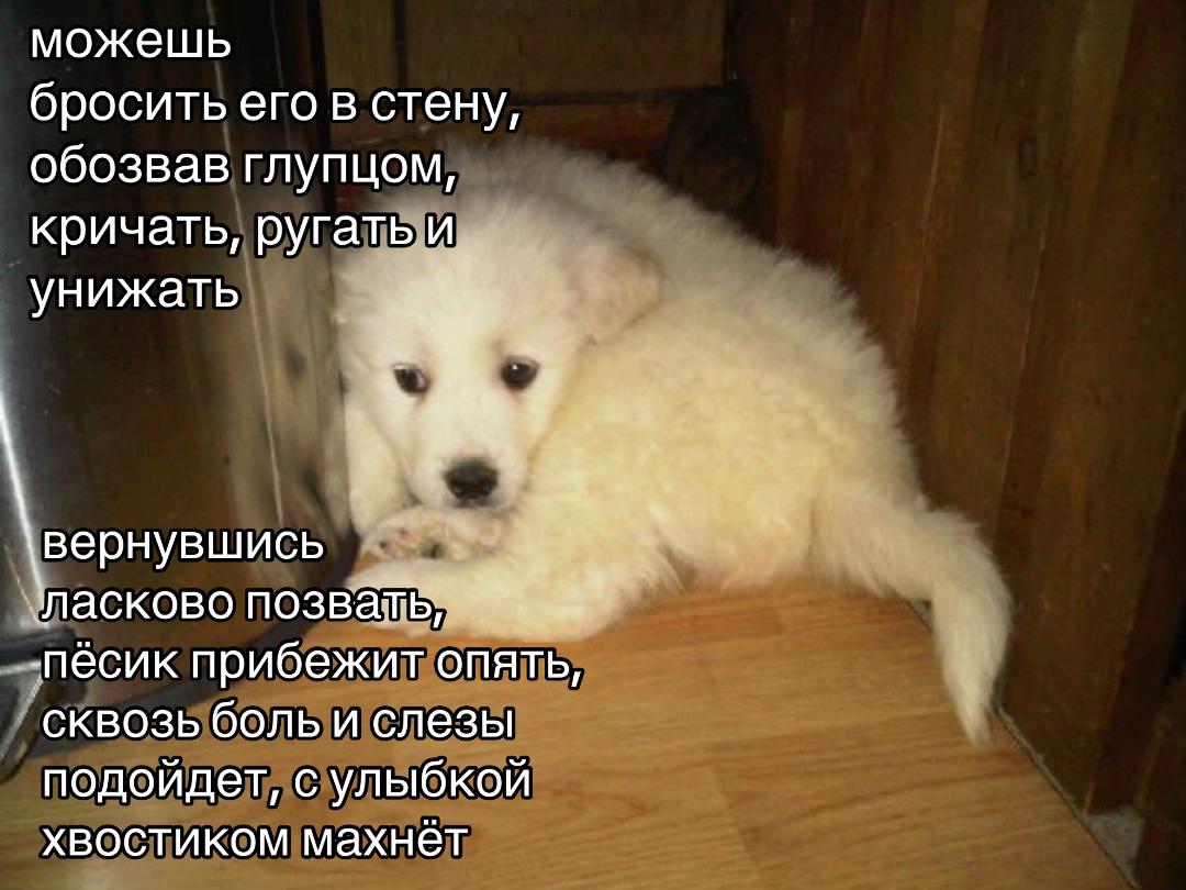 @гель