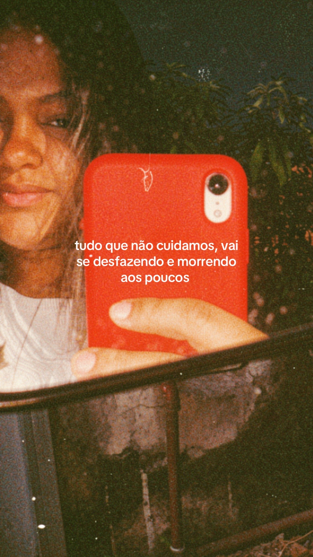 @Kamilly Fonseca