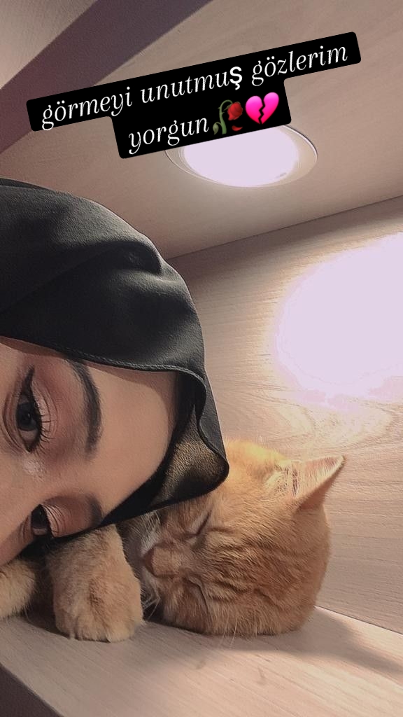 @🕊🖤⃝☙⃝ sᴇᴠɢɪᴄᴀɴ🖤⃝⃟🕊