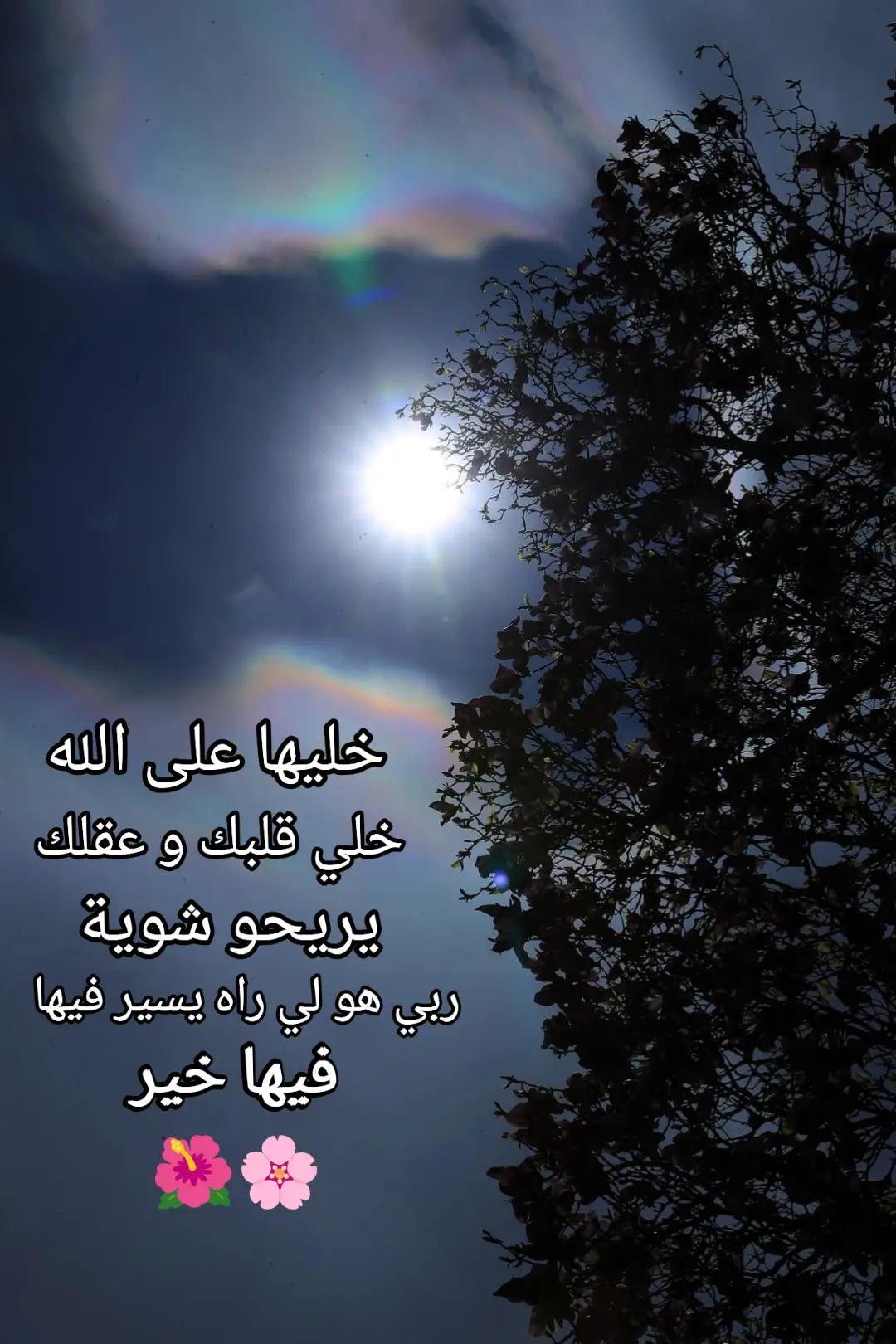 @🌹 خَلَفْ لِخَيْرِ سلَفْ 🌸📚