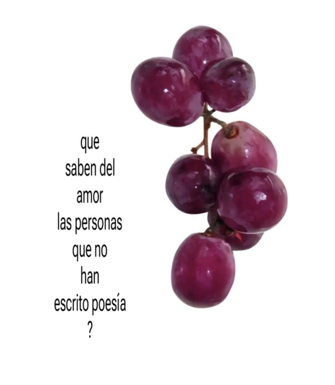 @B&uacute;hodermia... 🥀
