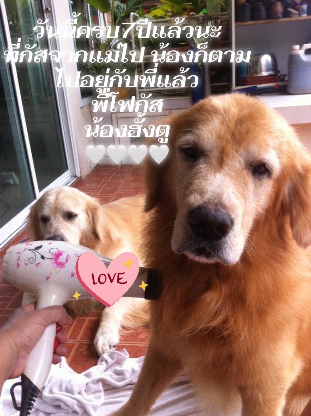 @บ้านพี่ฮั้งตู&น้องเฉาก๊วย💕💕