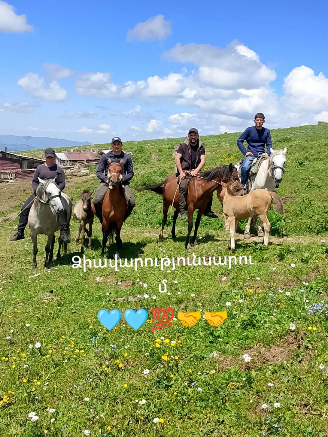 @Վաչե Գևորգյան