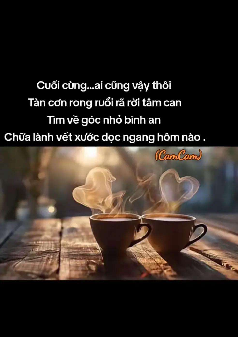 @🍁🍀An Nhiên❤️🩹❤️🩹