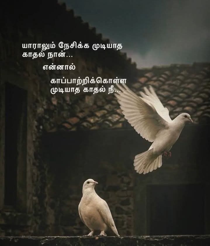 @manjula80