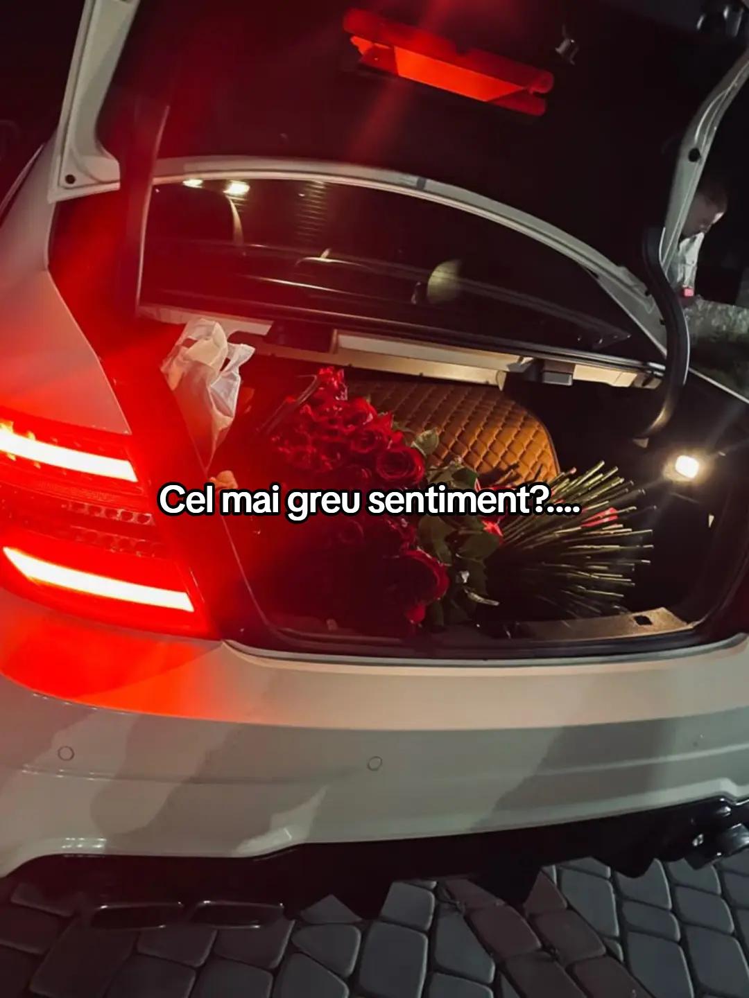 @𝑮𝑰𝑵𝑨&𝑨𝑩𝑬𝑳 𝑴𝑼𝑺𝑰𝑪❤️