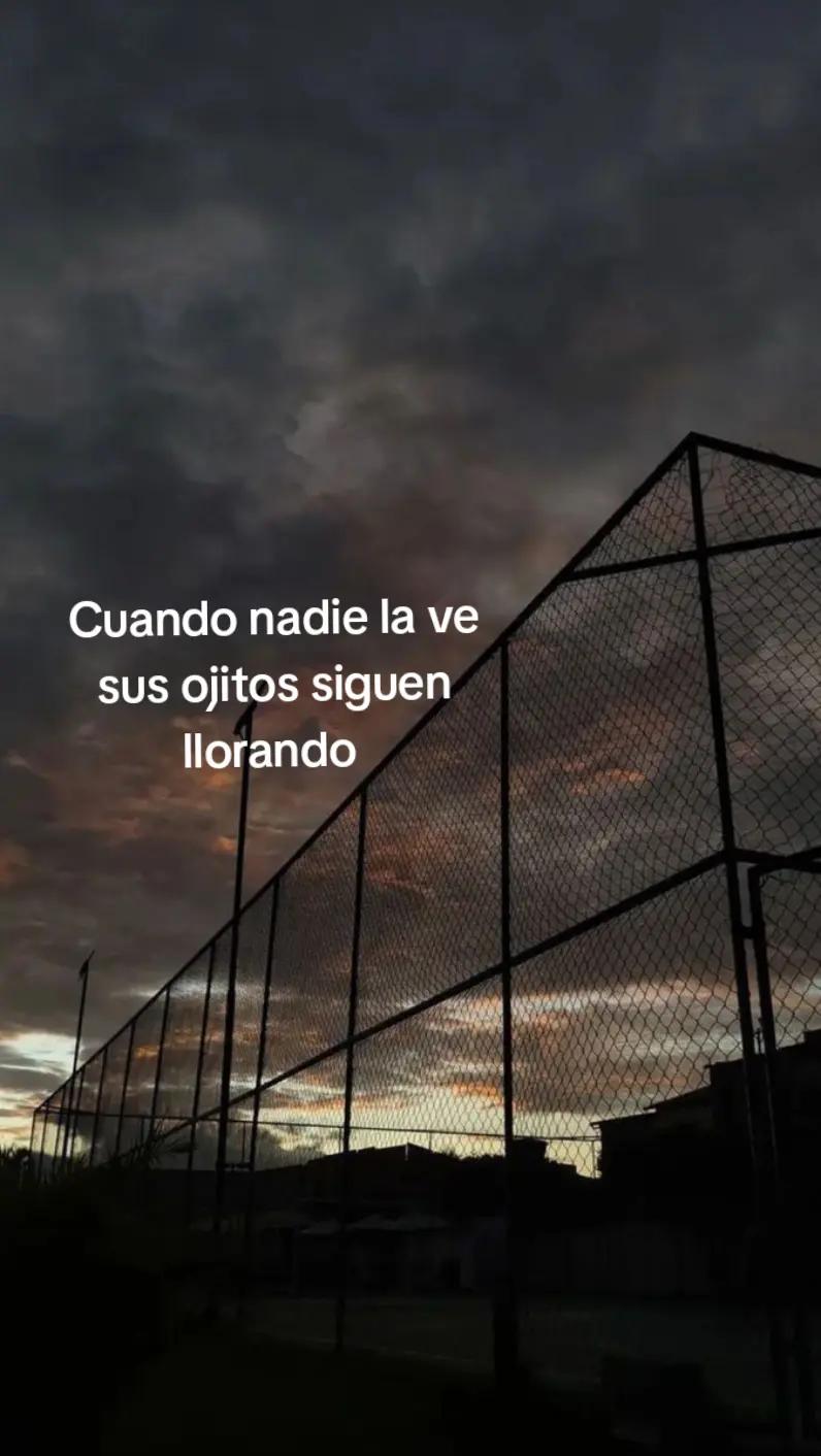 @•~•
