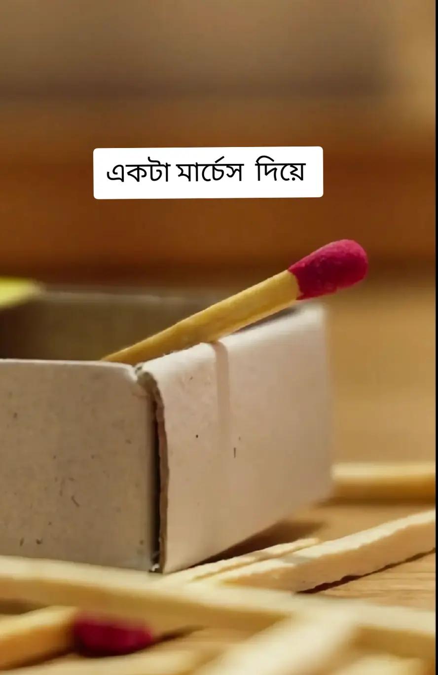 @🤲😺ঈমানদার বিলাই 😺🤲