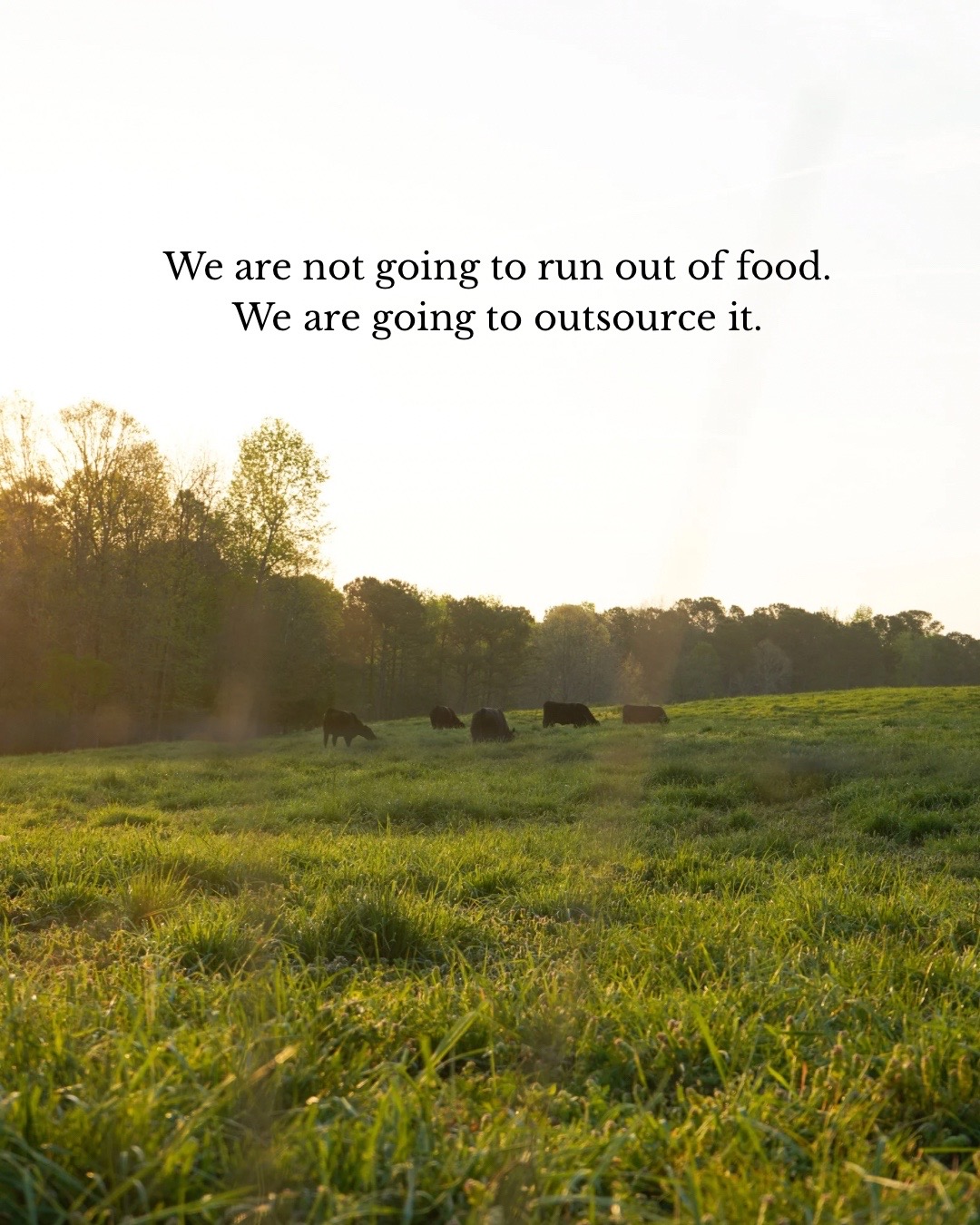 @Lily Hill Farm