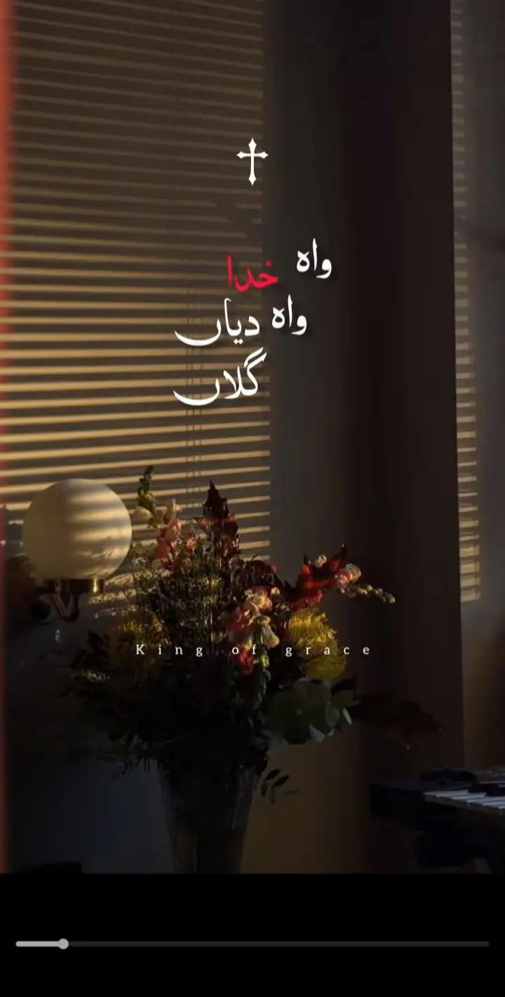 @چٹا صاحب 214✨🖤