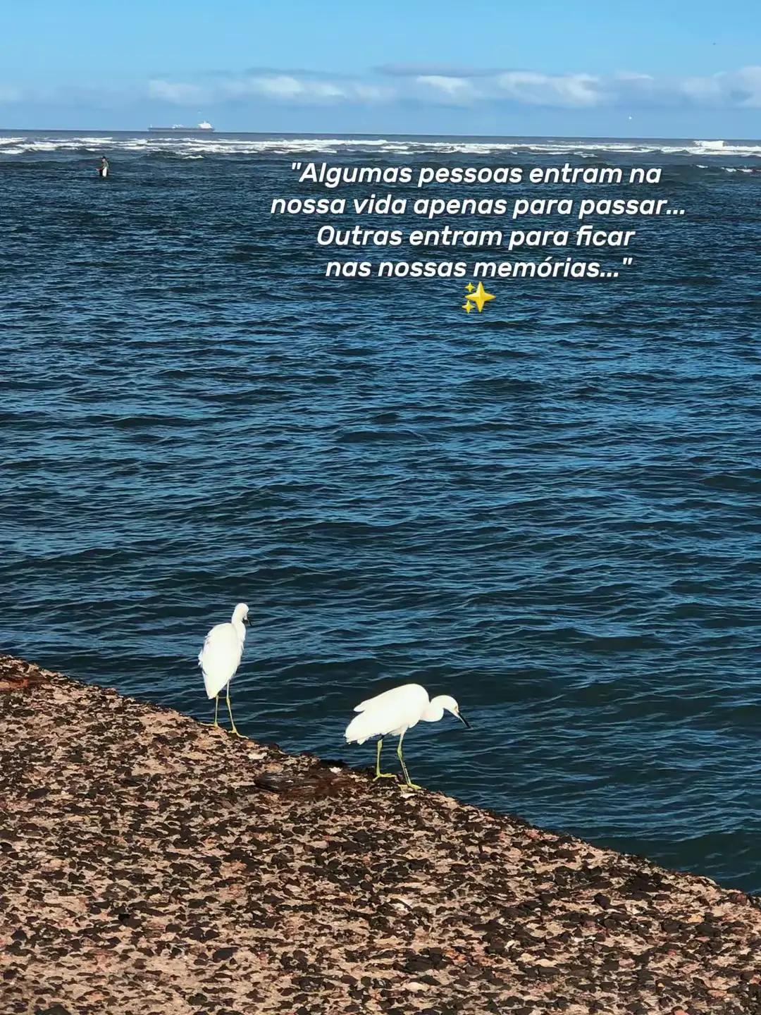 @⏸️ J&upsilon;&upsilon;н 🇧🇷