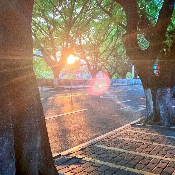 @🌟🌈Clizzy🌌🌙