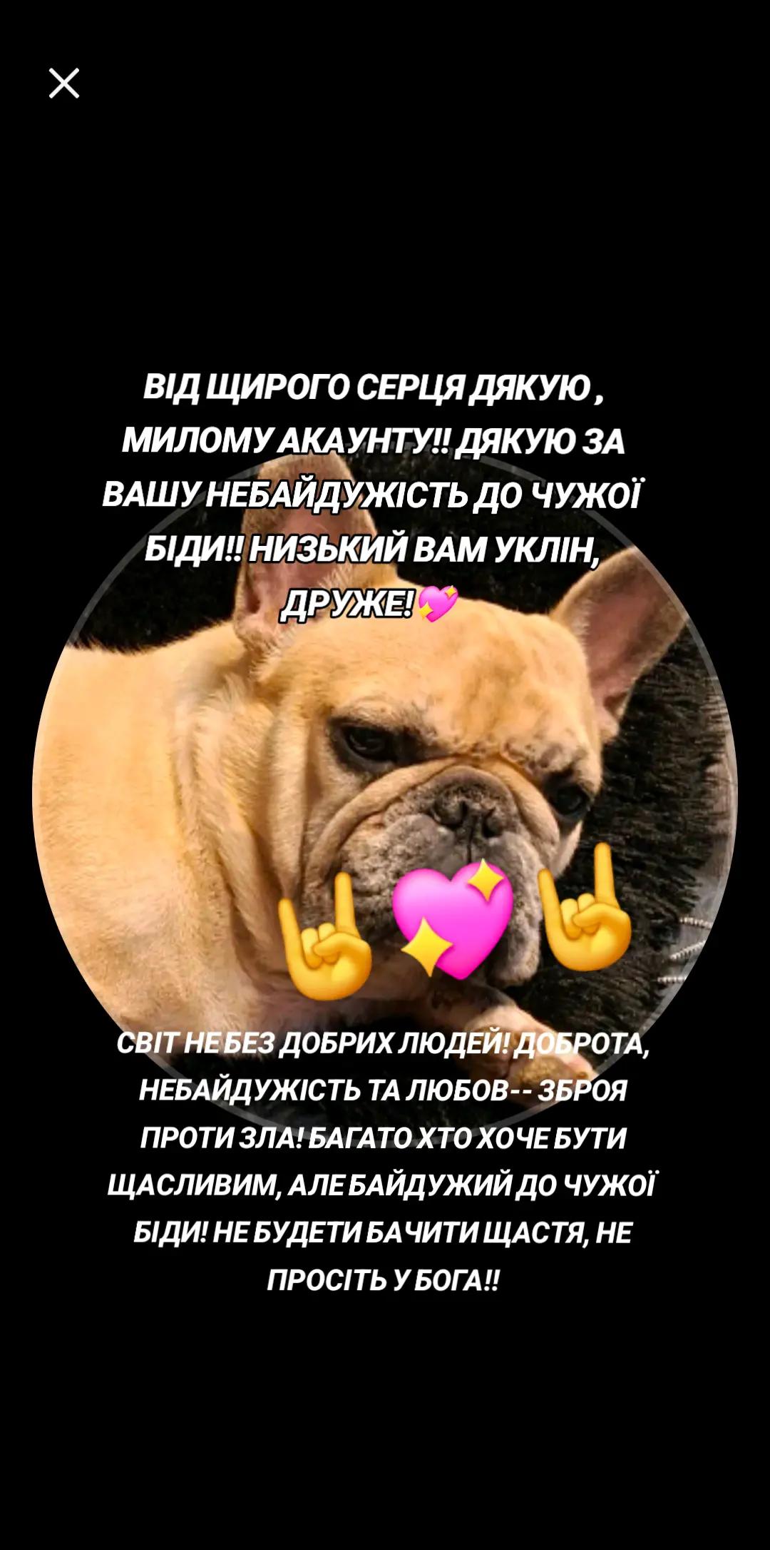 @💥💃🫠Колючка!!