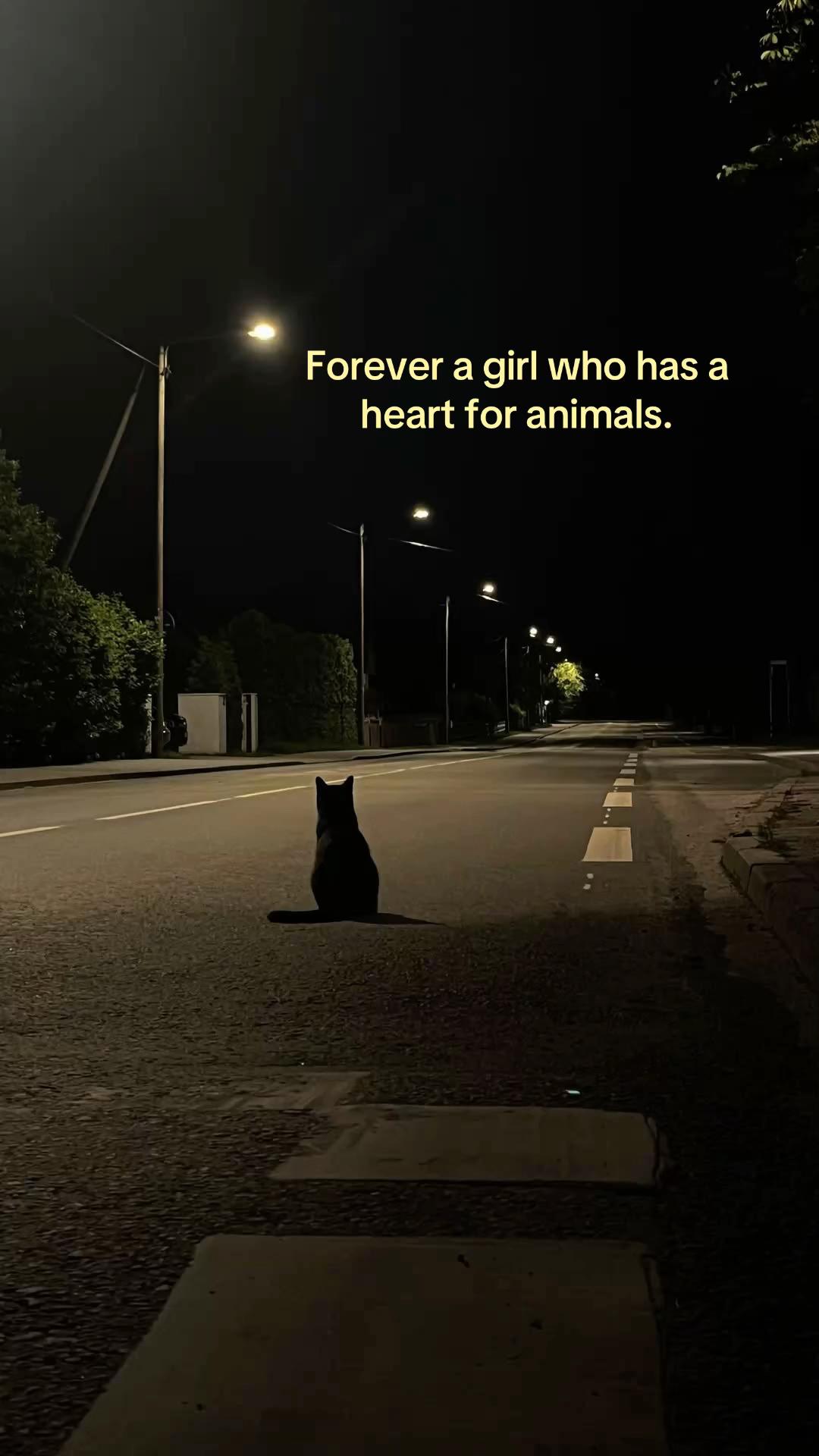 @𝒞