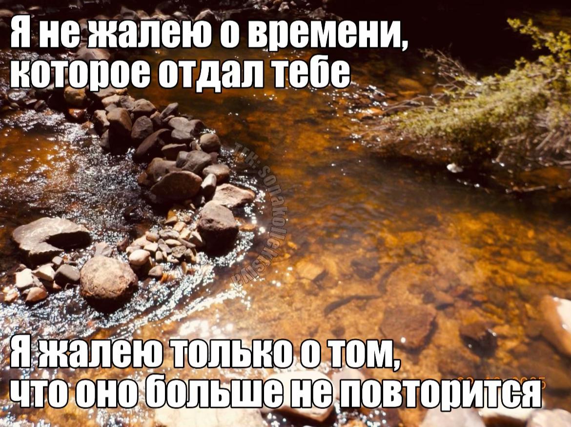 @коллекционер щп