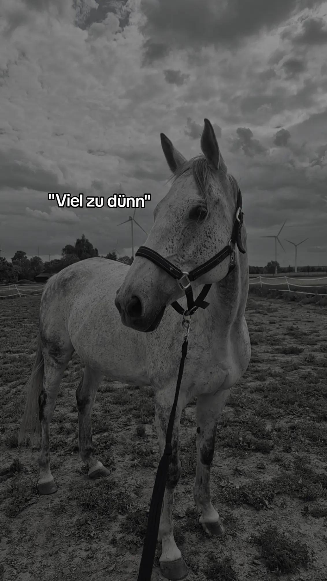 @♡Lilly&Tami♡