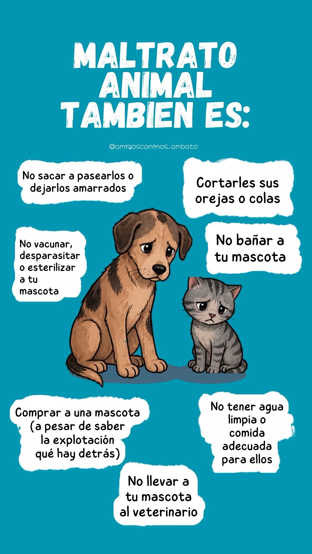 @Amigoscaninos_Ambato