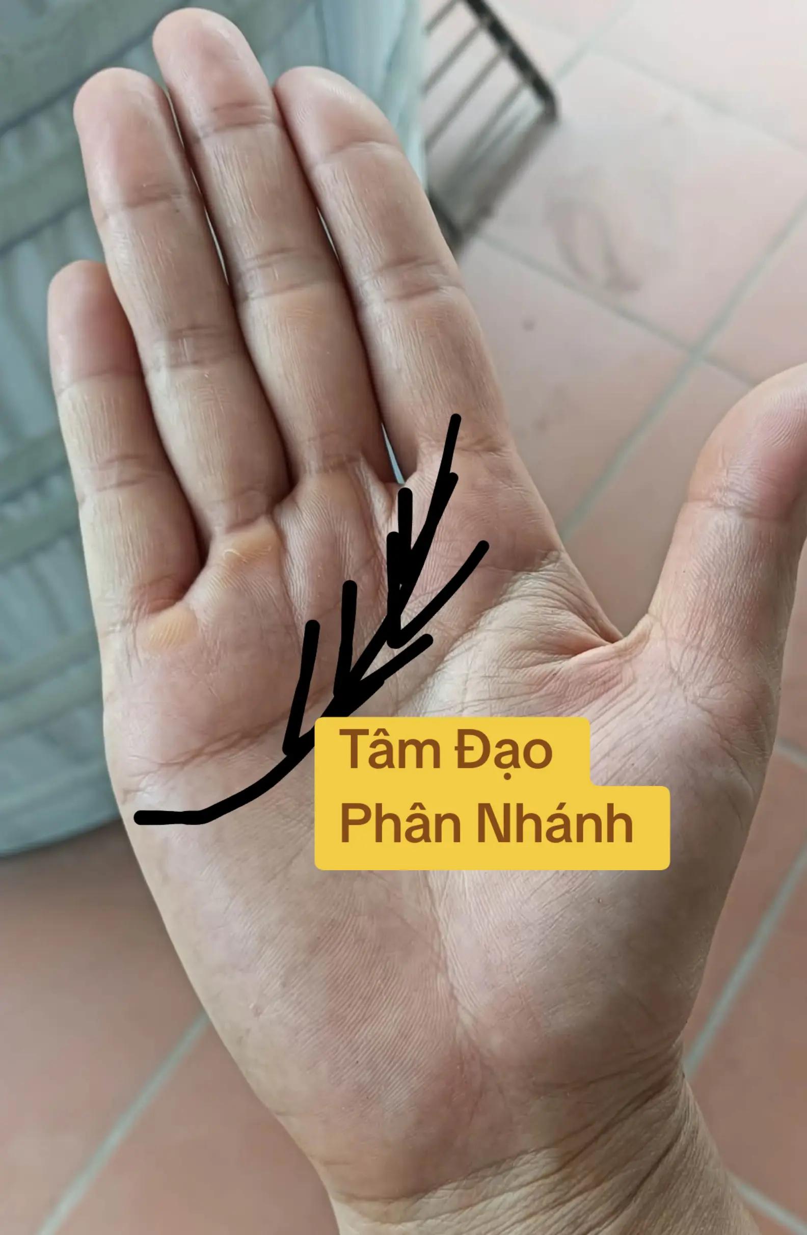 @Nhân Tướng Sửa Mình (Đỗ Lâm)